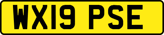 WX19PSE