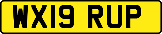 WX19RUP