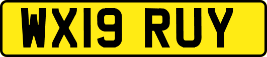 WX19RUY