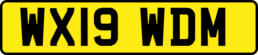 WX19WDM