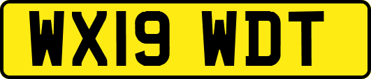 WX19WDT