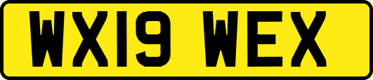 WX19WEX