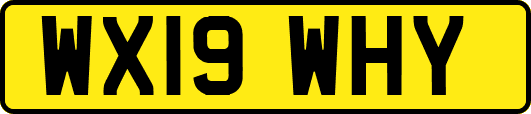 WX19WHY
