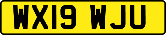 WX19WJU