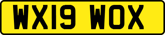 WX19WOX