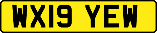 WX19YEW