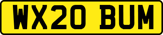WX20BUM