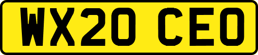 WX20CEO