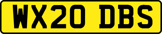 WX20DBS