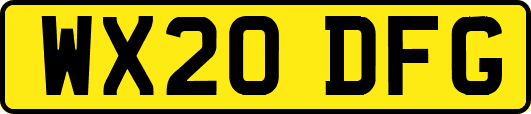 WX20DFG