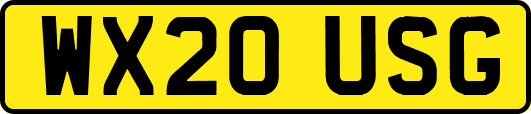 WX20USG
