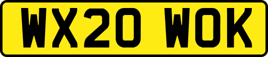 WX20WOK