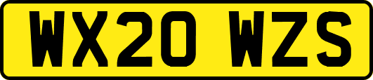 WX20WZS