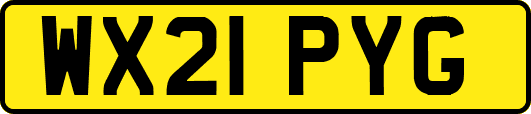 WX21PYG