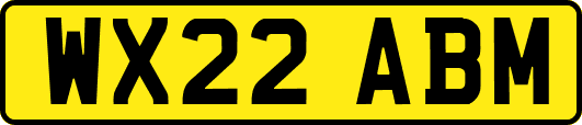 WX22ABM