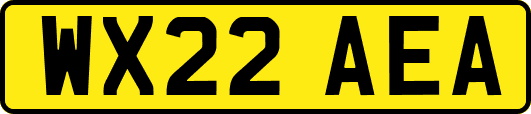 WX22AEA