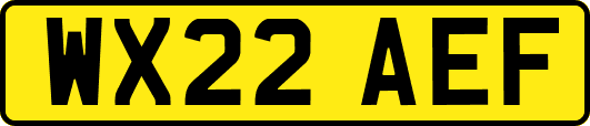 WX22AEF