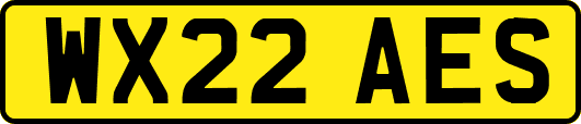 WX22AES