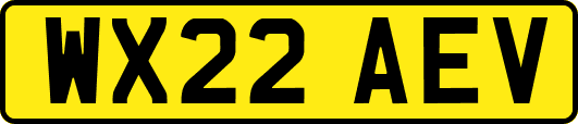 WX22AEV