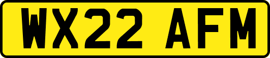 WX22AFM