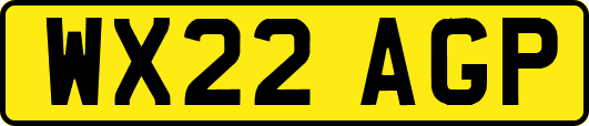 WX22AGP