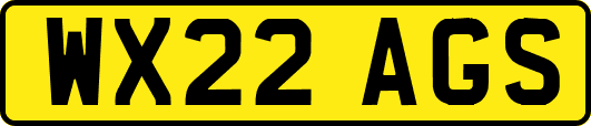 WX22AGS