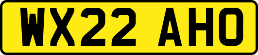 WX22AHO