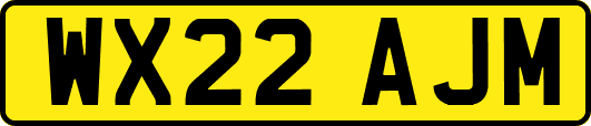 WX22AJM