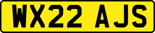 WX22AJS