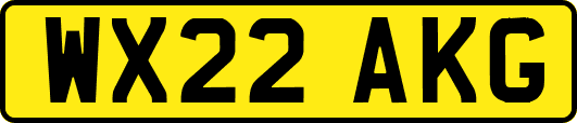 WX22AKG