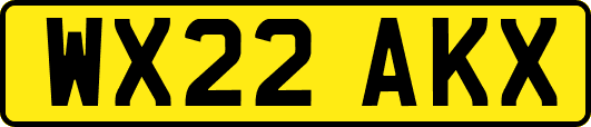 WX22AKX