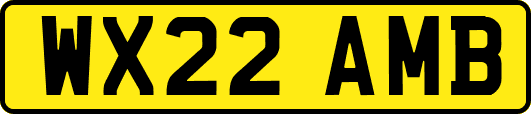 WX22AMB