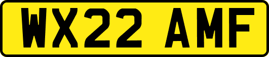 WX22AMF