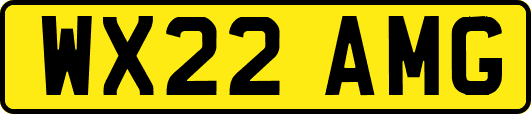 WX22AMG