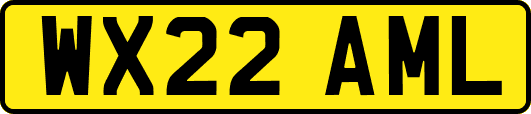 WX22AML