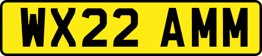 WX22AMM