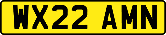 WX22AMN