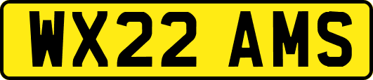 WX22AMS