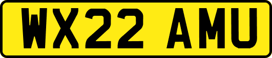WX22AMU