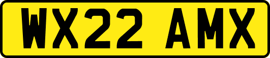 WX22AMX