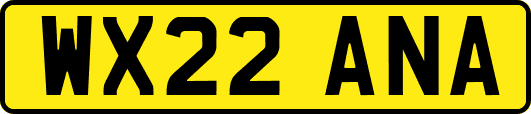 WX22ANA