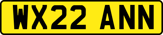 WX22ANN