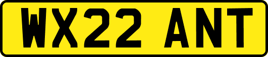 WX22ANT