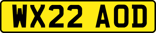 WX22AOD