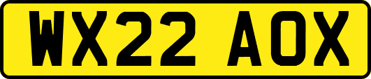 WX22AOX