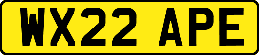 WX22APE