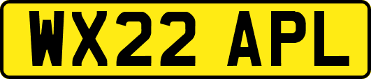 WX22APL