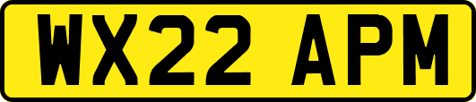 WX22APM