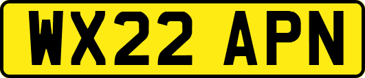 WX22APN