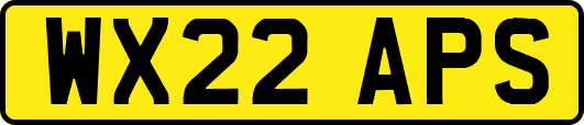 WX22APS